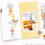 Document the Everyday Moments with Quiet Meadow