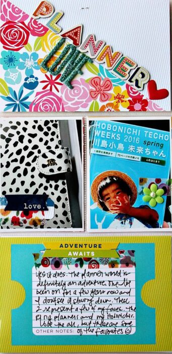 AlissaAdventureAwaitsDITL