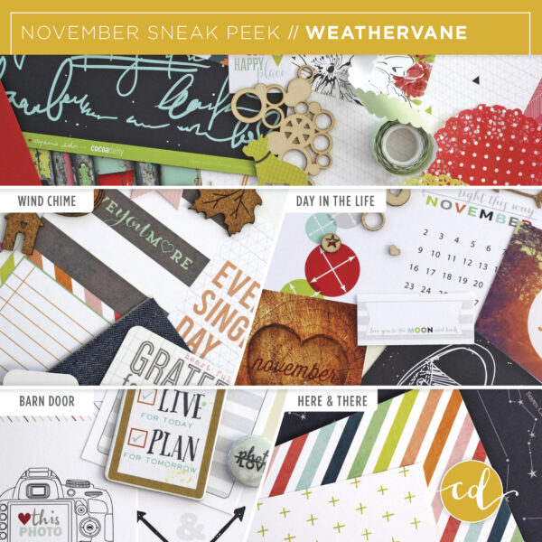 CD14 - Sneak Header Nov Alt