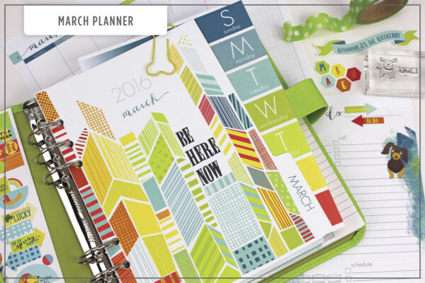 CD16 - Sneak Header FEB4