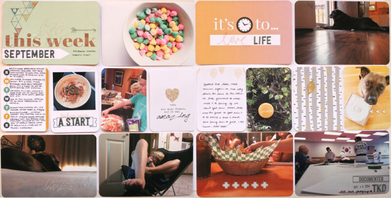 DITL BLUERIDGEOCT2014CDfULL