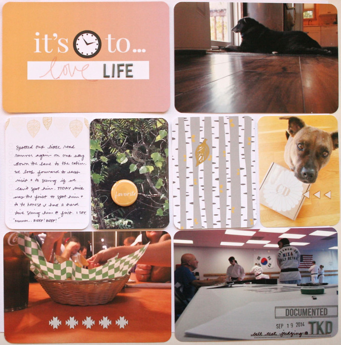 DITLBLUERIDGERHSSUZOCT2014