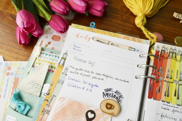 _dsc6879