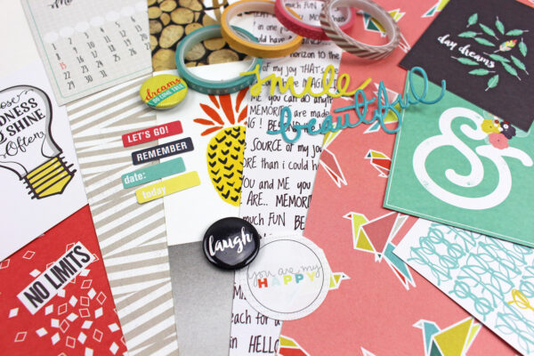 Feb 2016 add on sneak-1