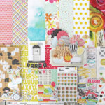 Firefly: Summer Enchantment at its Finest