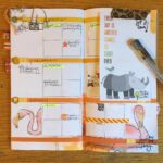 Planning for Adventure in My DaisyDori