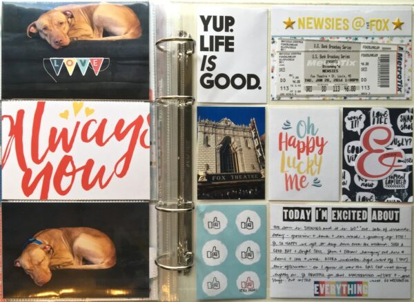 IMG_6710_zps6dzottfz