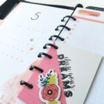 Only for iNSD: Suz @ 3