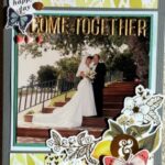 December Daisy Devotion