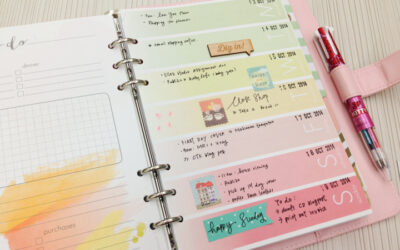 My Planner Set Up Using Daisy Day Planner
