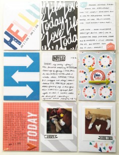 UPDATED%20WITH%20INSERT%20AND%20RHS%20PHOTOS%3A%20Feb%20DITL%202016