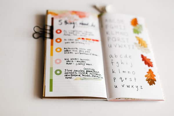 cocoadaisy_plannerclass_wk2-1