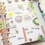 August Guest Designer: Linea