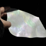 Project Art – February