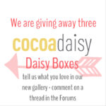 Check out the new gallery (and win)!