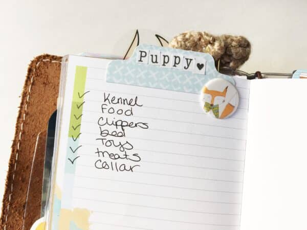 Processed with Snapseed.