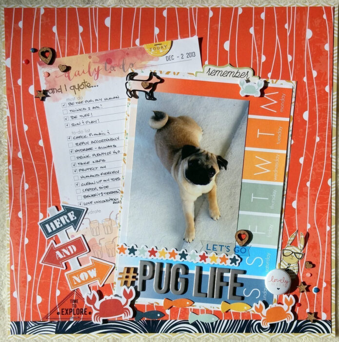 july sketch winner Julie B