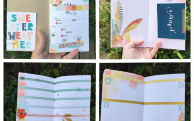 Daisy Dori October Set Up and September Walk Through Video