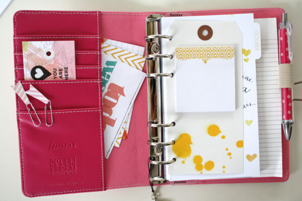 planner post 30