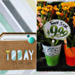 Product Focus with Alissa – Tags